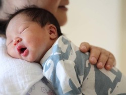 代生男孩机构